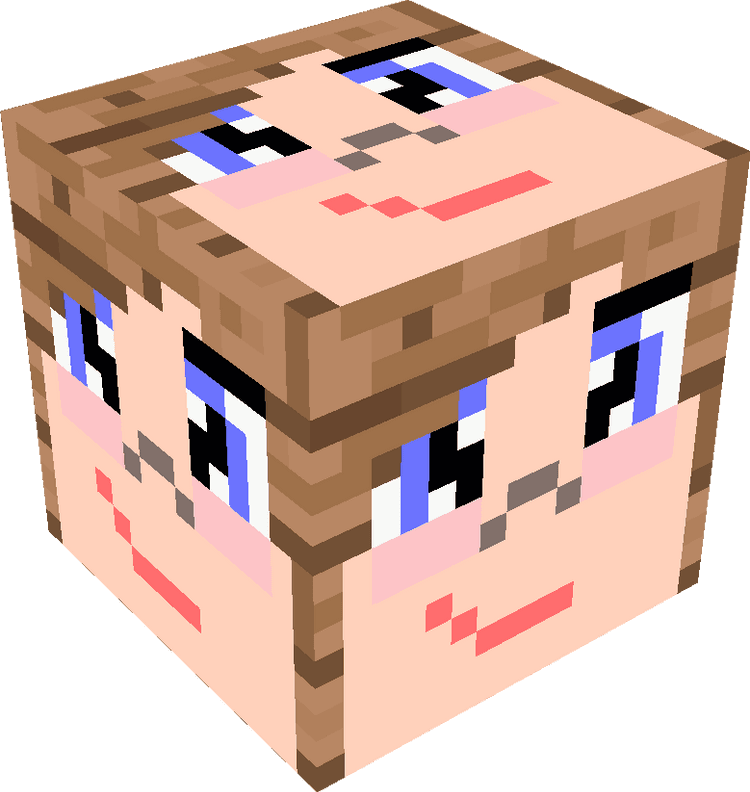 Minecraft Blocks