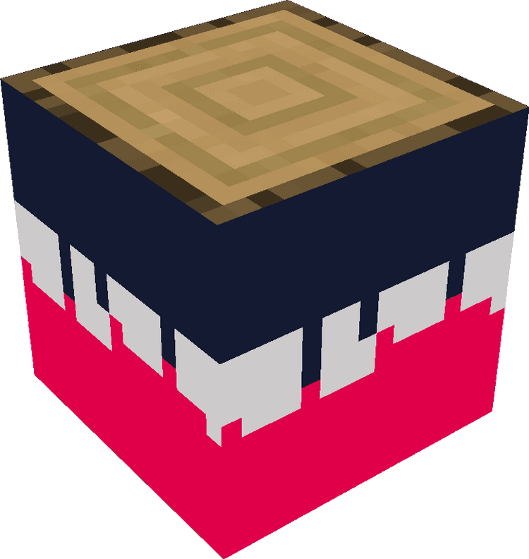 Minecraft Blocks