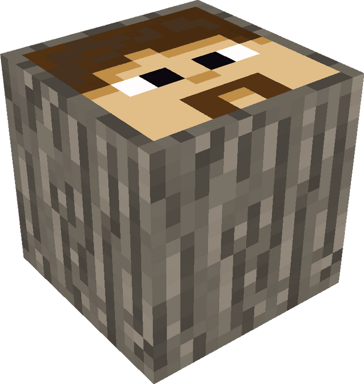 Minecraft Blocks