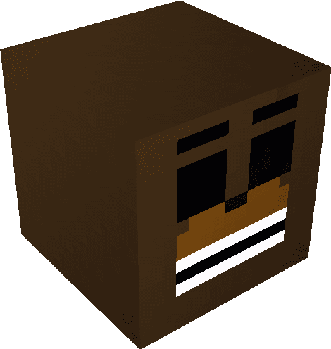 Minecraft Blocks