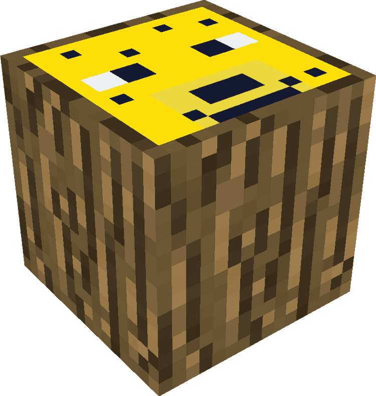 Minecraft Blocks