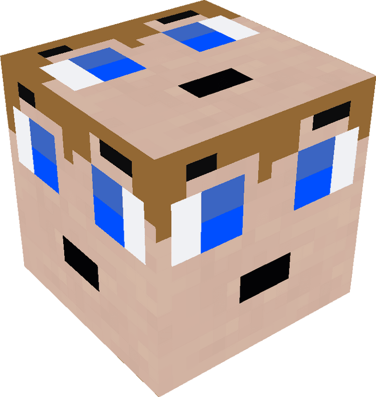 Minecraft Blocks