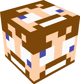 Minecraft Blocks