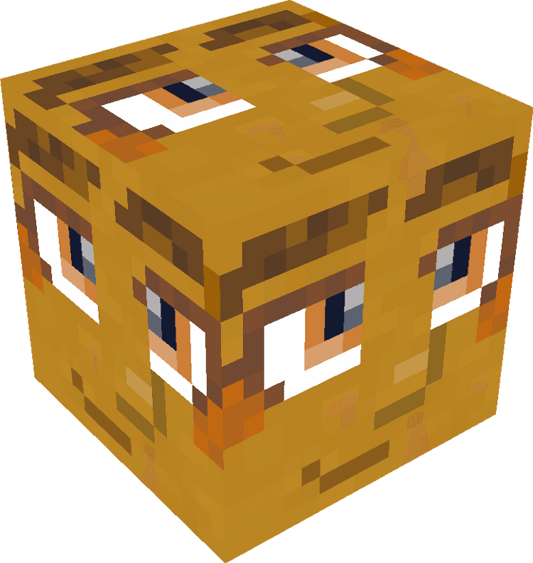 Minecraft Blocks