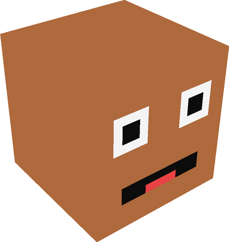 Minecraft Blocks