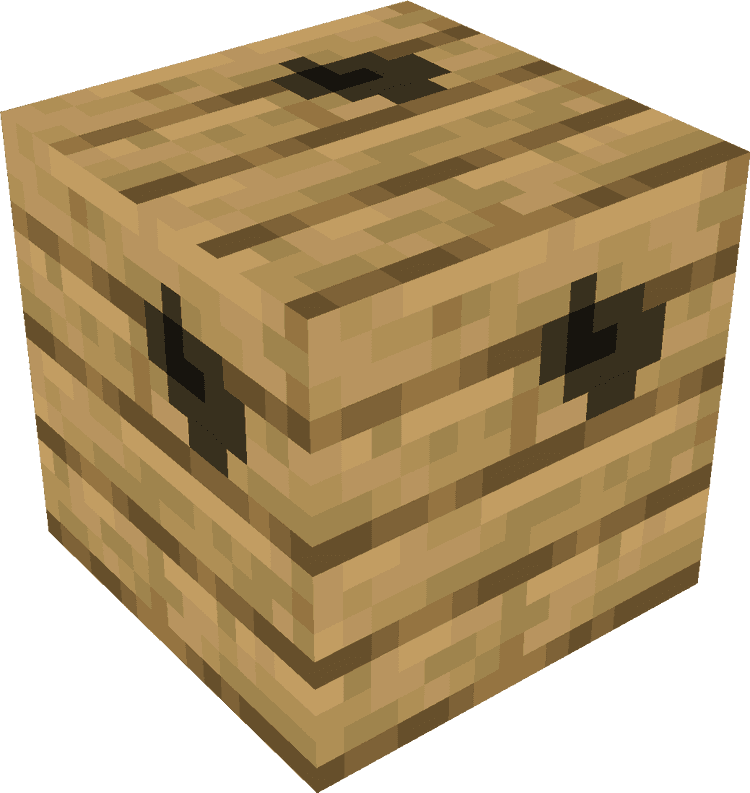 Minecraft Blocks