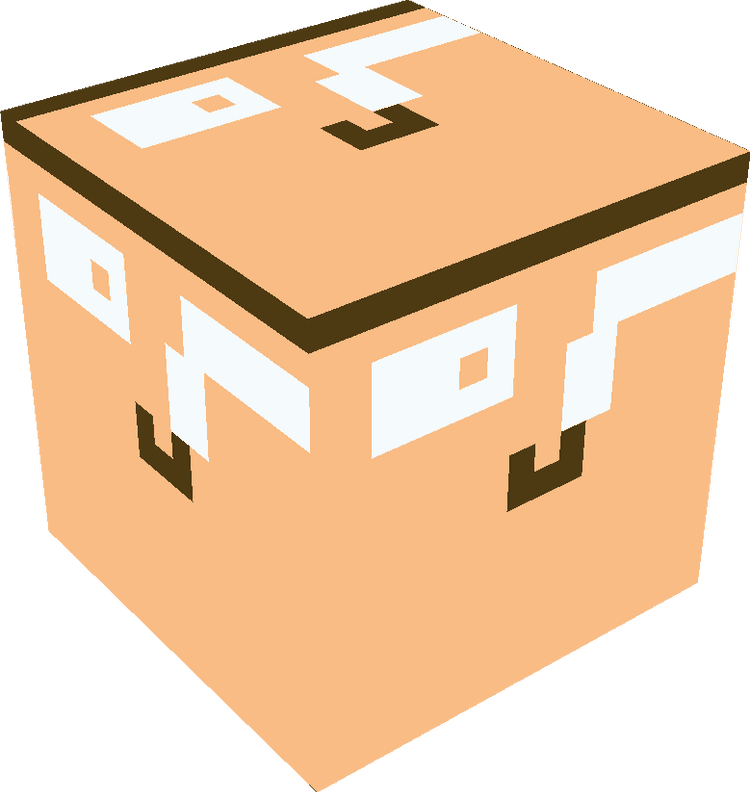 Minecraft Blocks