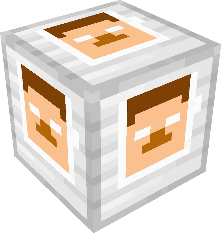 Minecraft Blocks