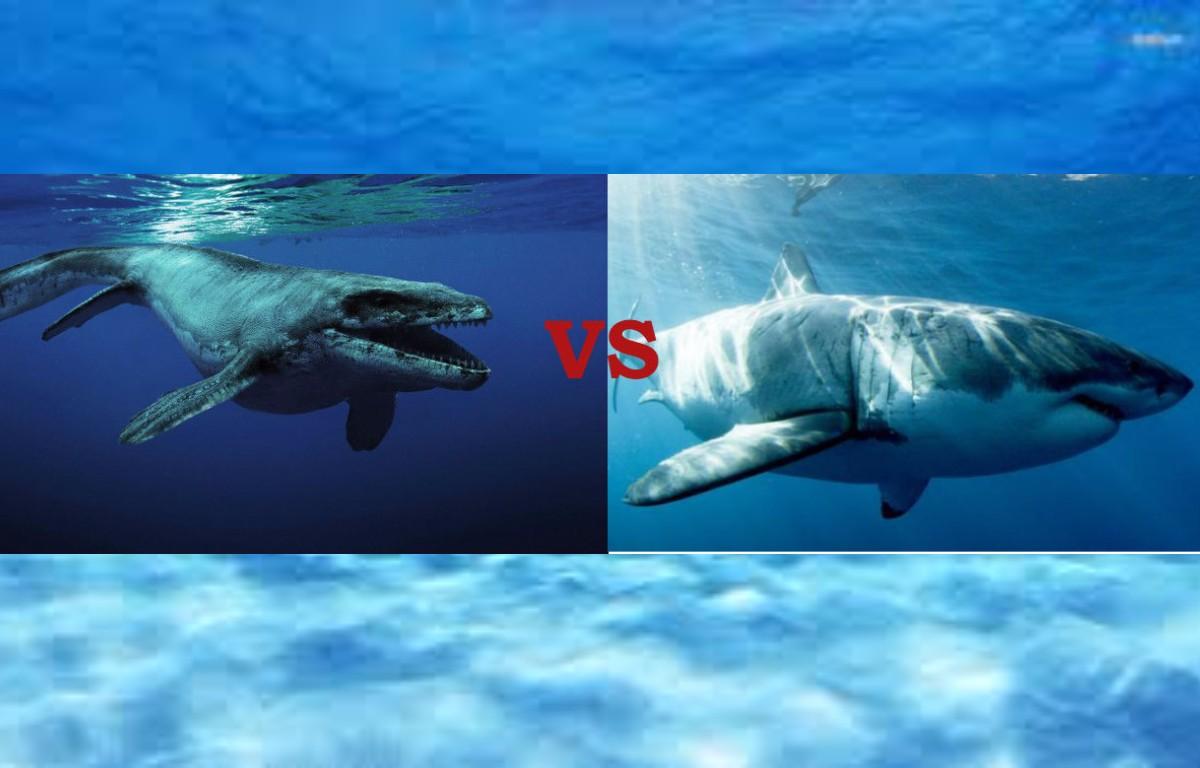 momsusarus vs megaldon