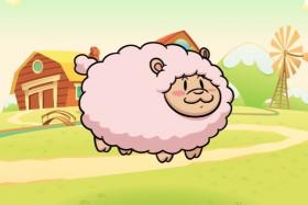 SHEEP!!!!!!!!!!!!!!!!!