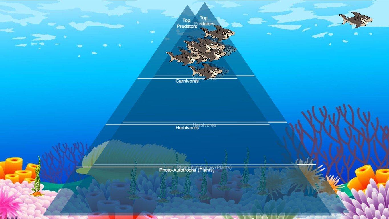 Ocean Ecological Pyramid