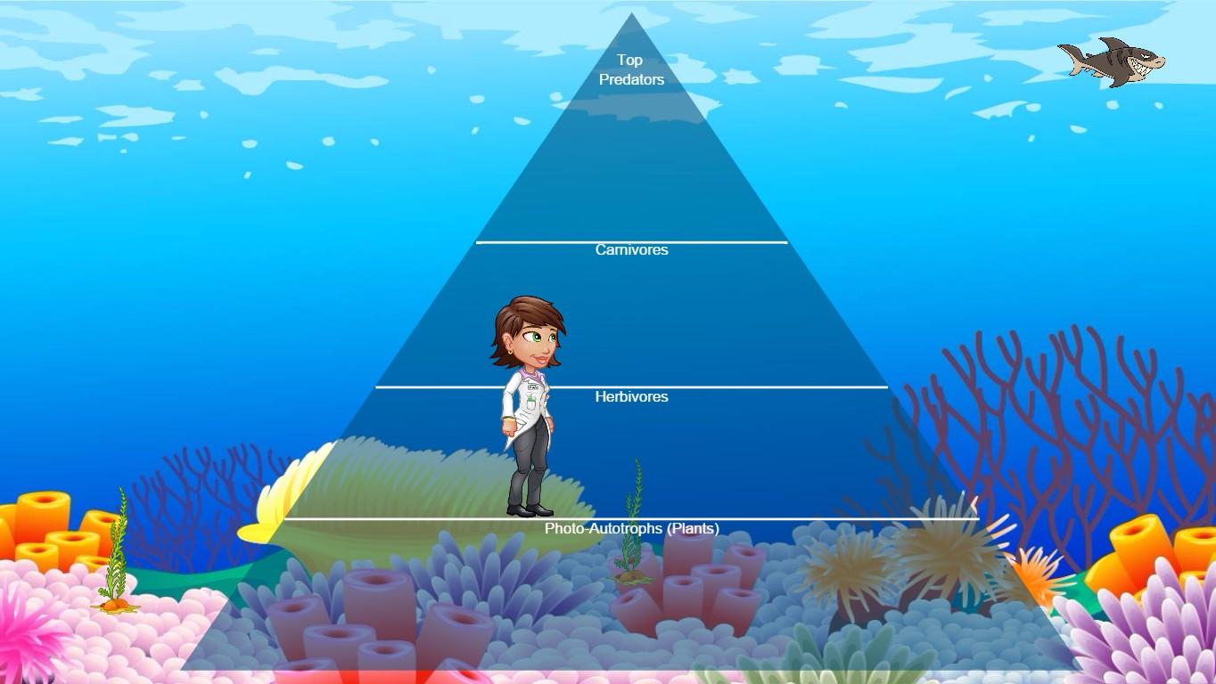 Ocean Ecological Pyramid