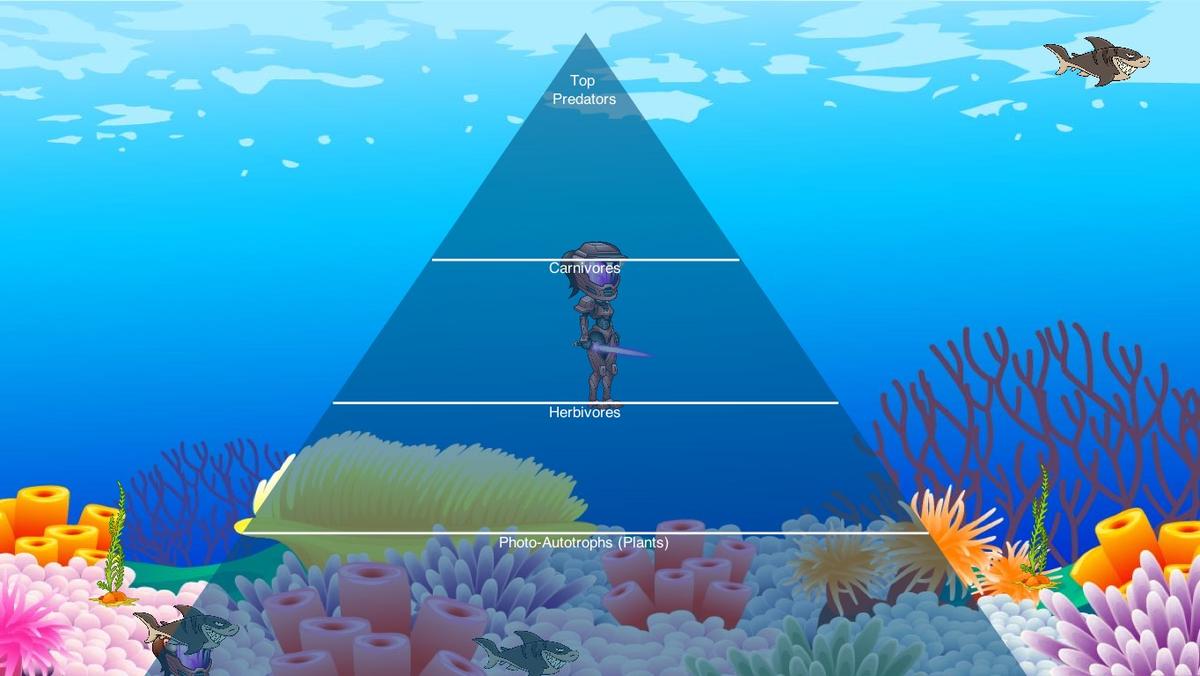 Ocean Ecological Pyramid