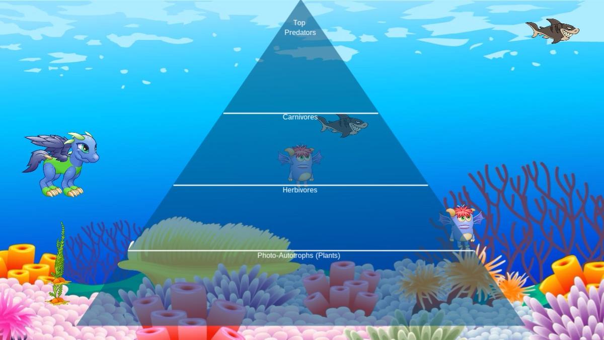 Ocean Ecological Pyramid