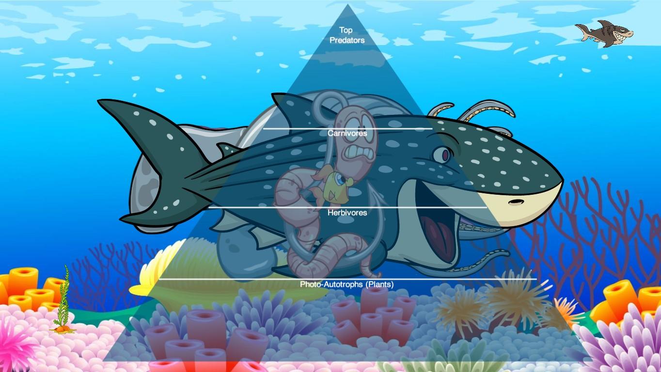 Ocean Ecological Pyramid