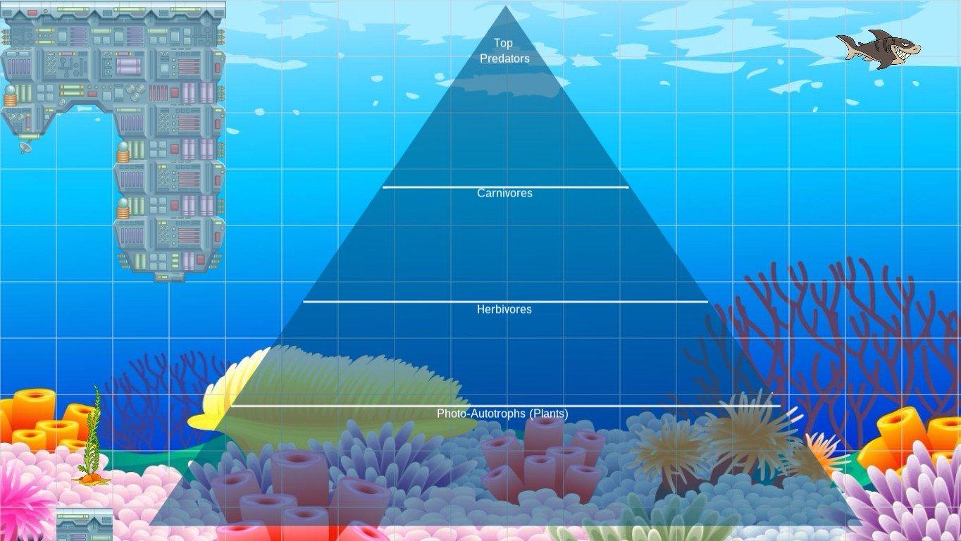 Ocean Ecological Pyramid