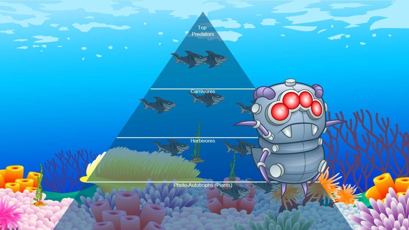 Ocean Ecological Pyramid