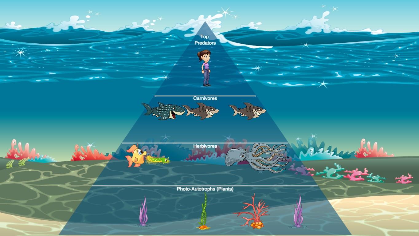 Ocean Ecological Pyramid