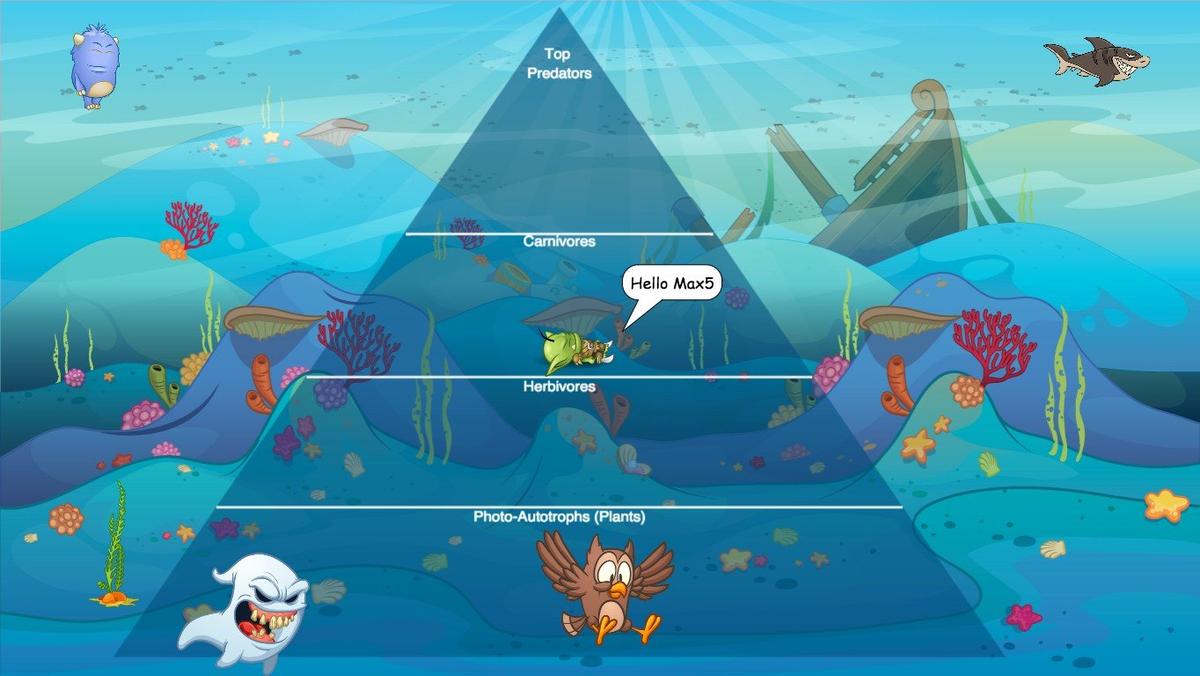 Ocean Ecological Pyramid