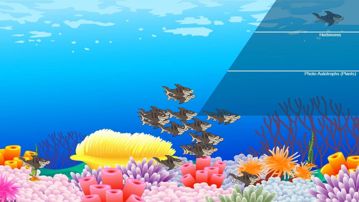 Ocean Ecological Pyramid