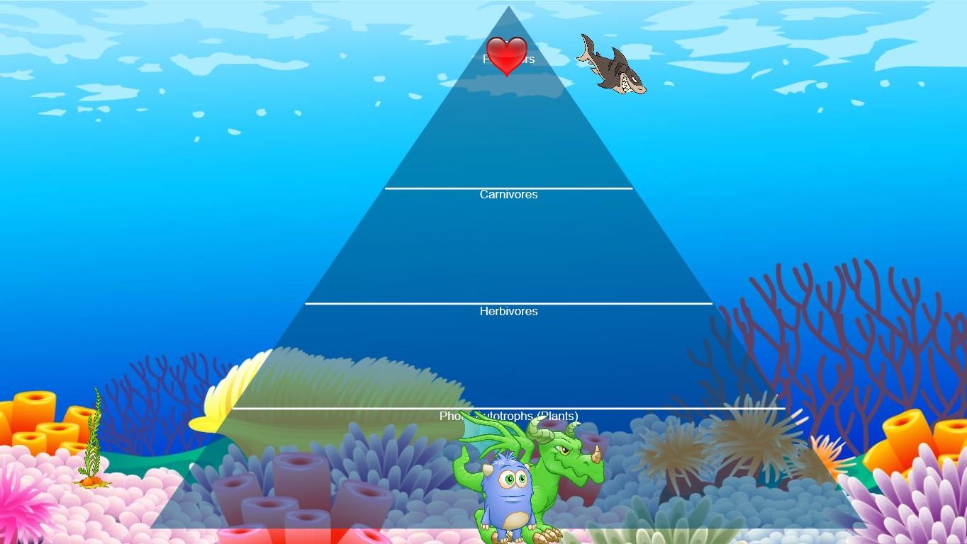 Ocean Ecological Pyramid