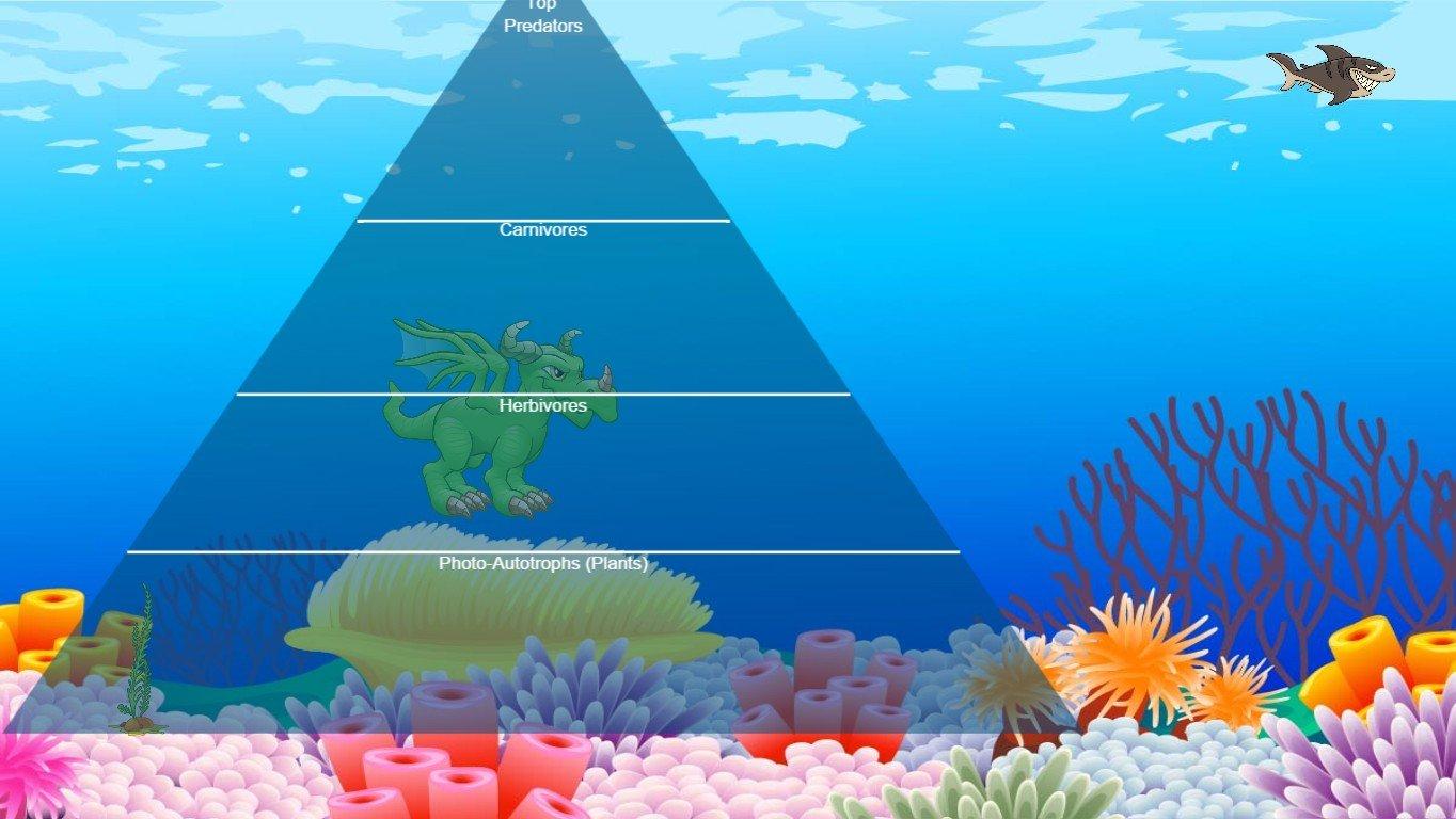 Ocean Ecological Pyramid