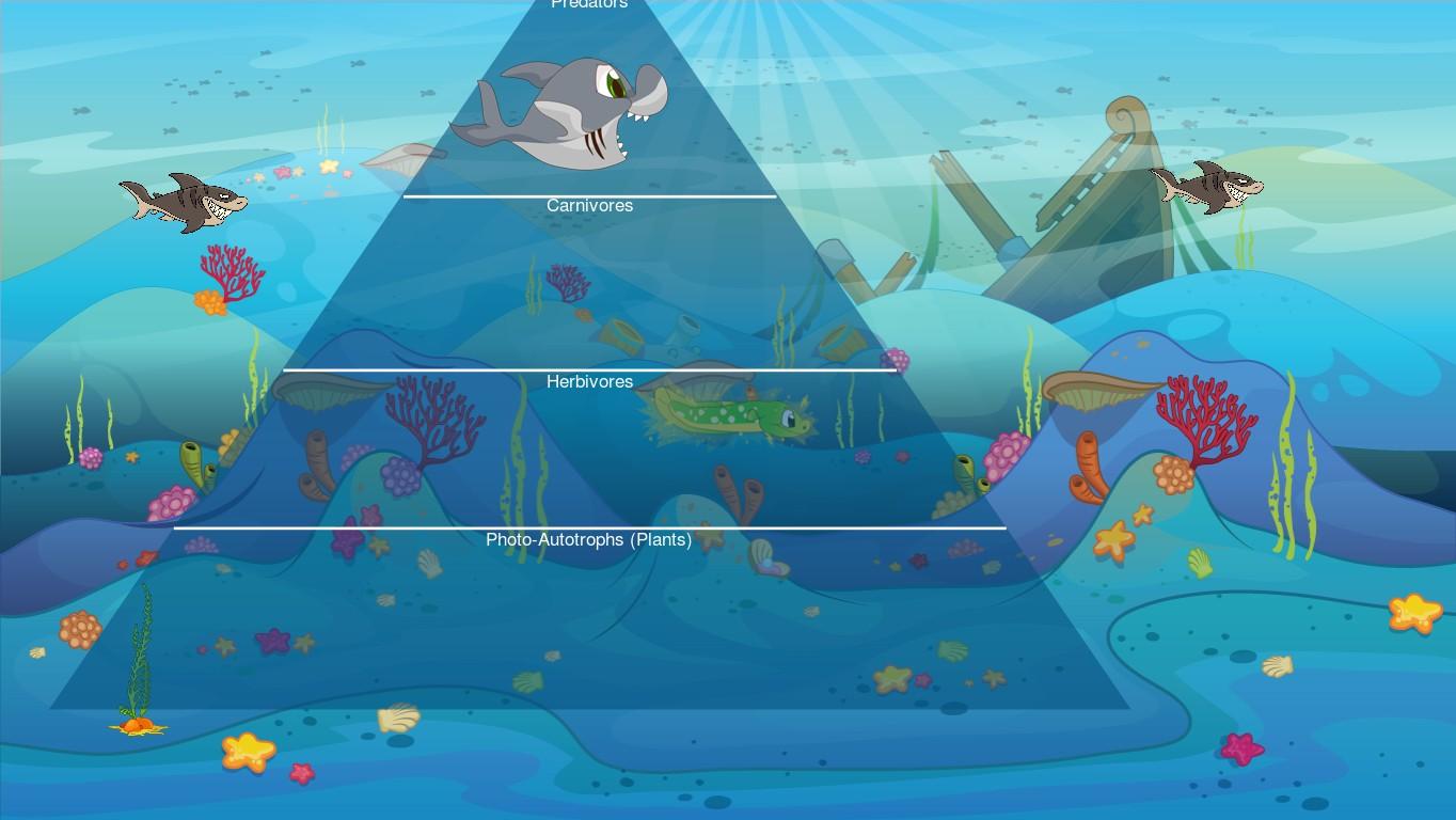 Ocean Ecological Pyramid