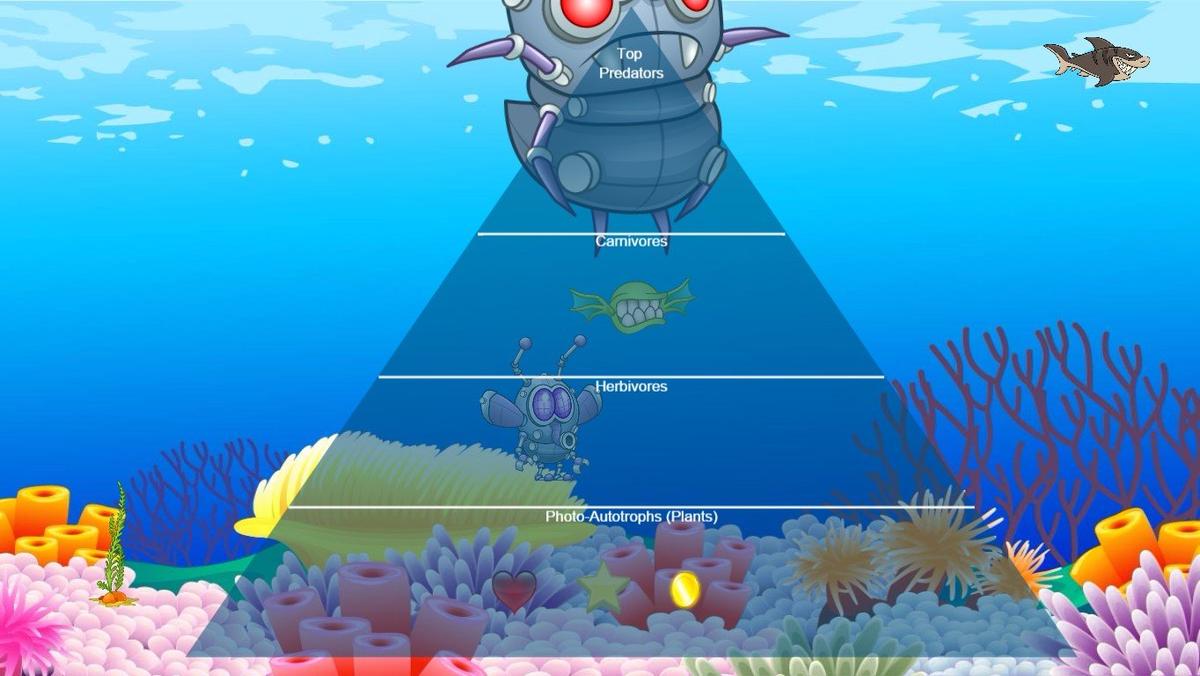 Ocean Ecological Pyramid