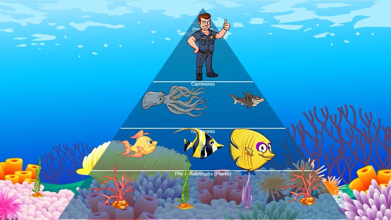 Ocean Ecological Pyramid