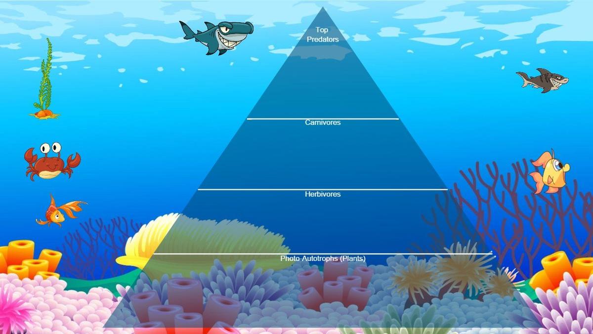 Ocean Pyramid