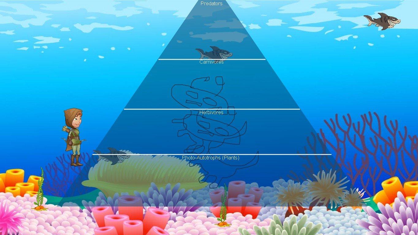 Ocean Ecological Pyramid