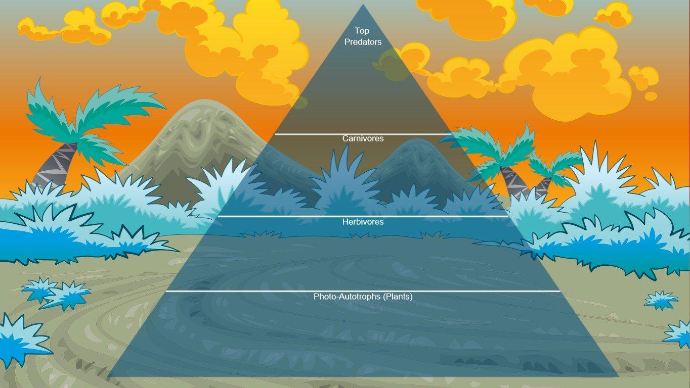 Ocean Ecological Pyramid