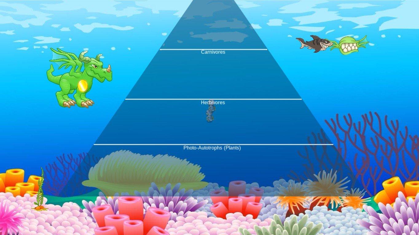 Ocean Ecological Pyramid