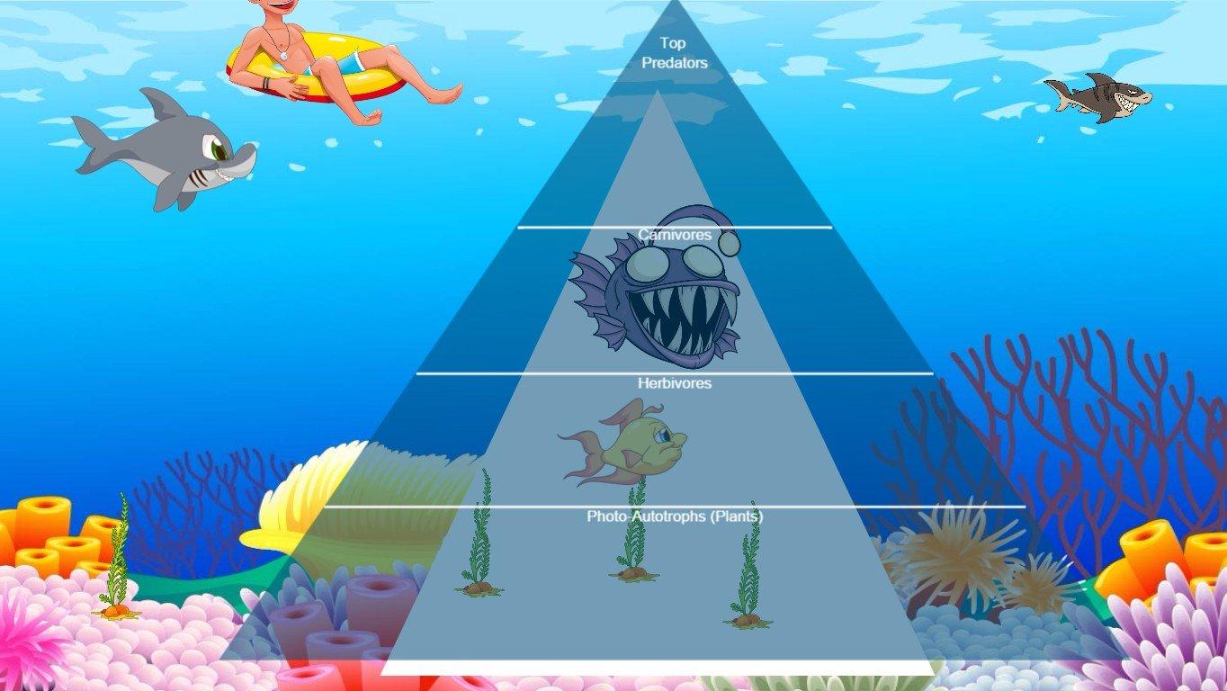 Ocean Ecological Pyramid