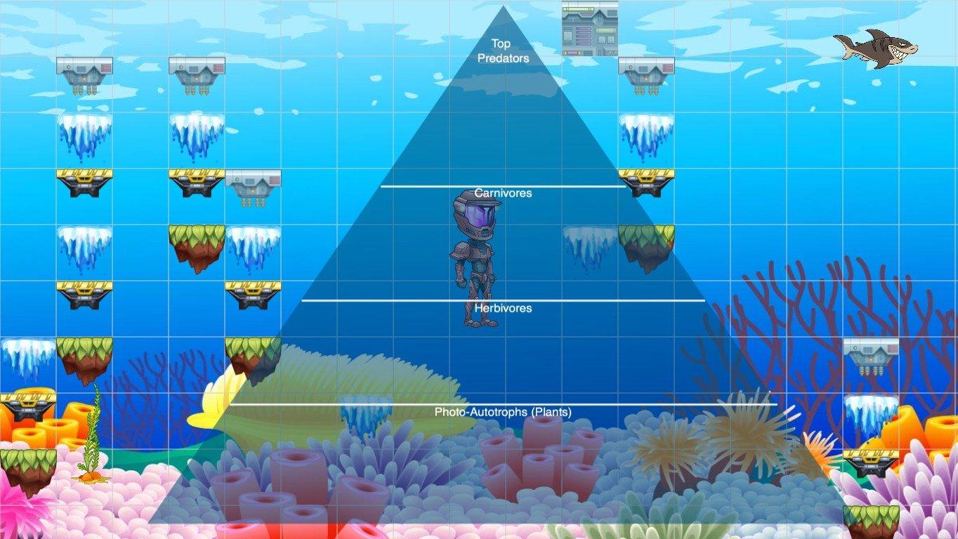 Ocean Ecological Pyramid