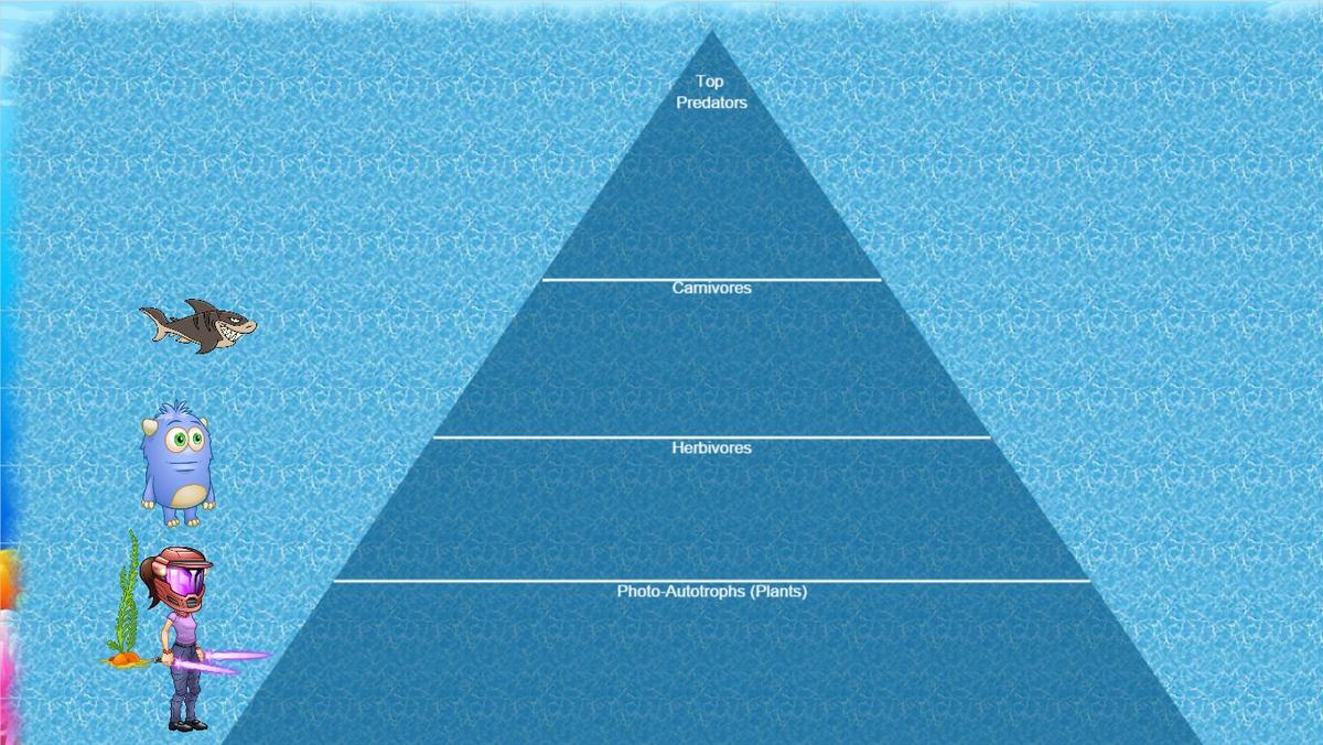 Ocean Ecological Pyramid