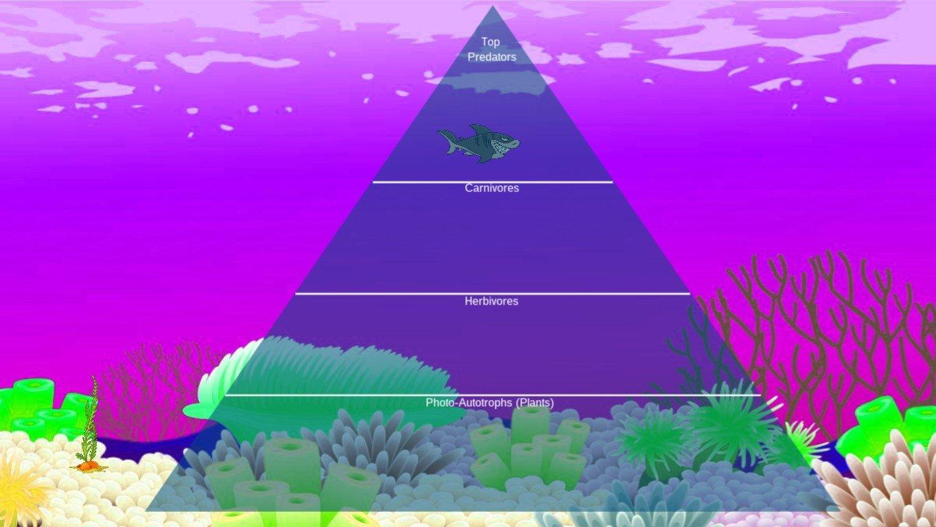 Ocean Ecological Pyramid