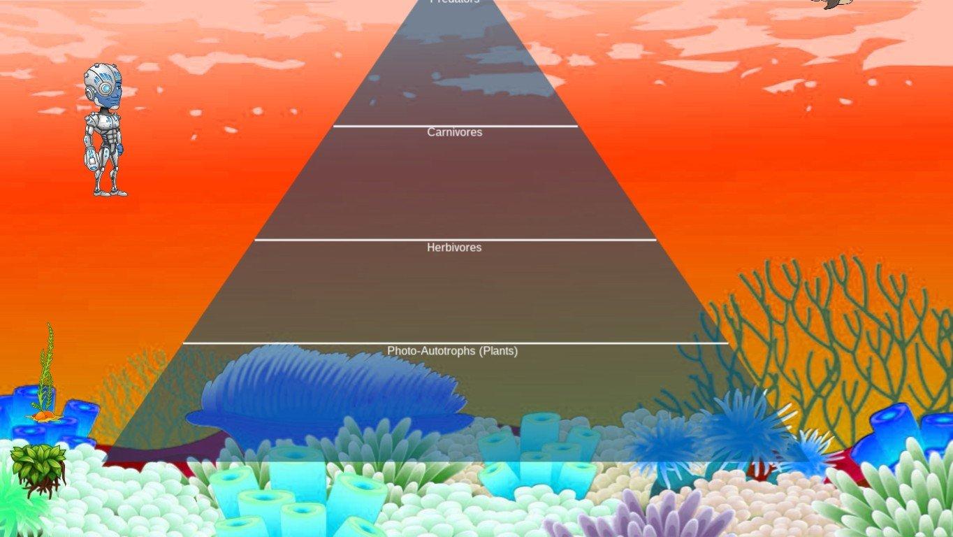 Ocean Ecological Pyramid