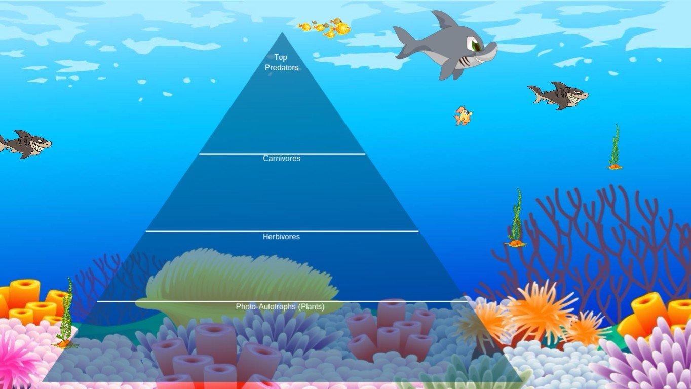 Ocean Ecological Pyramid