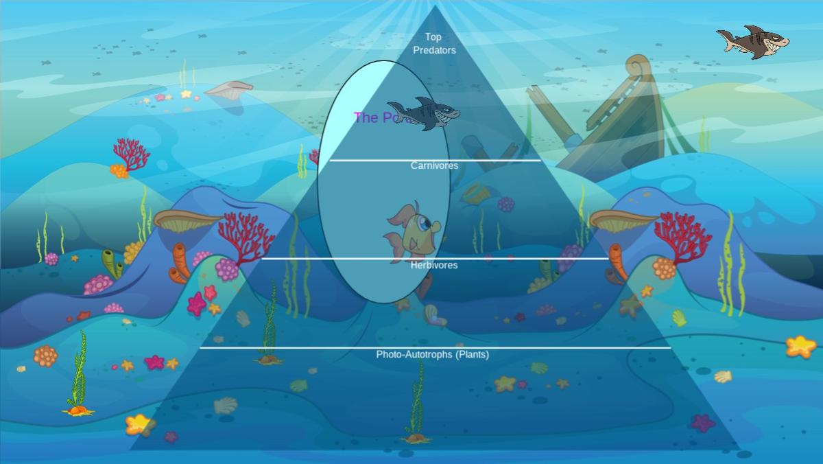 Ocean Ecological Pyramid