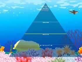 Ecological Pyramid 1