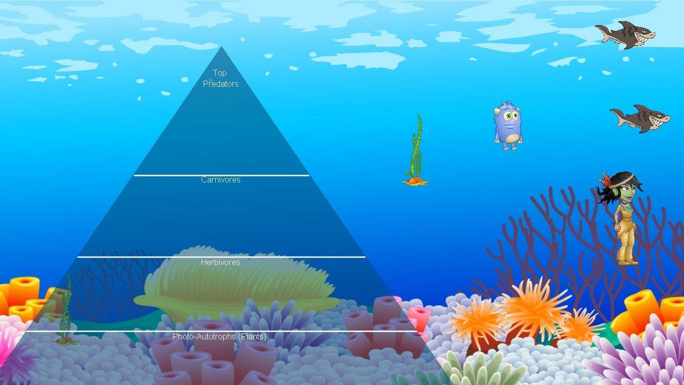 Ocean Ecological Pyramid