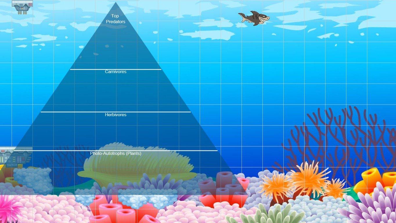 Ocean Ecological Pyramid