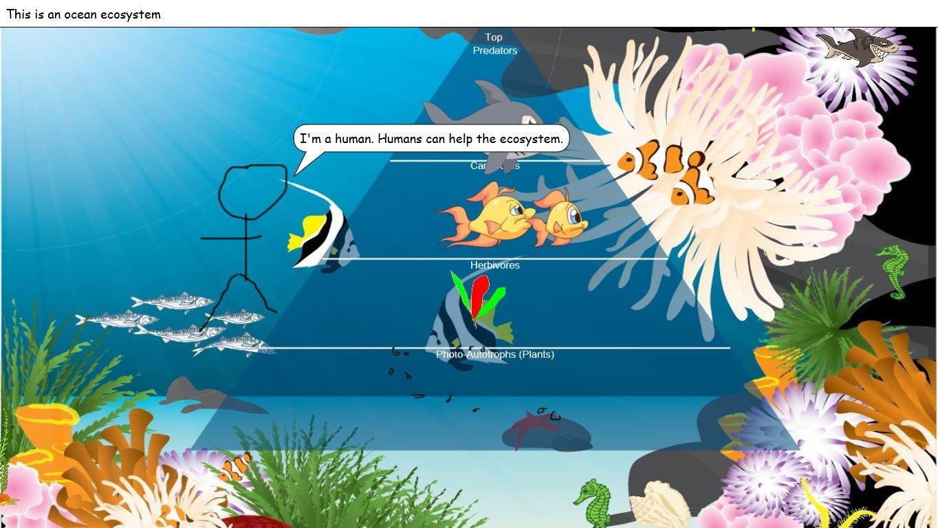 Ocean Ecological Pyramid