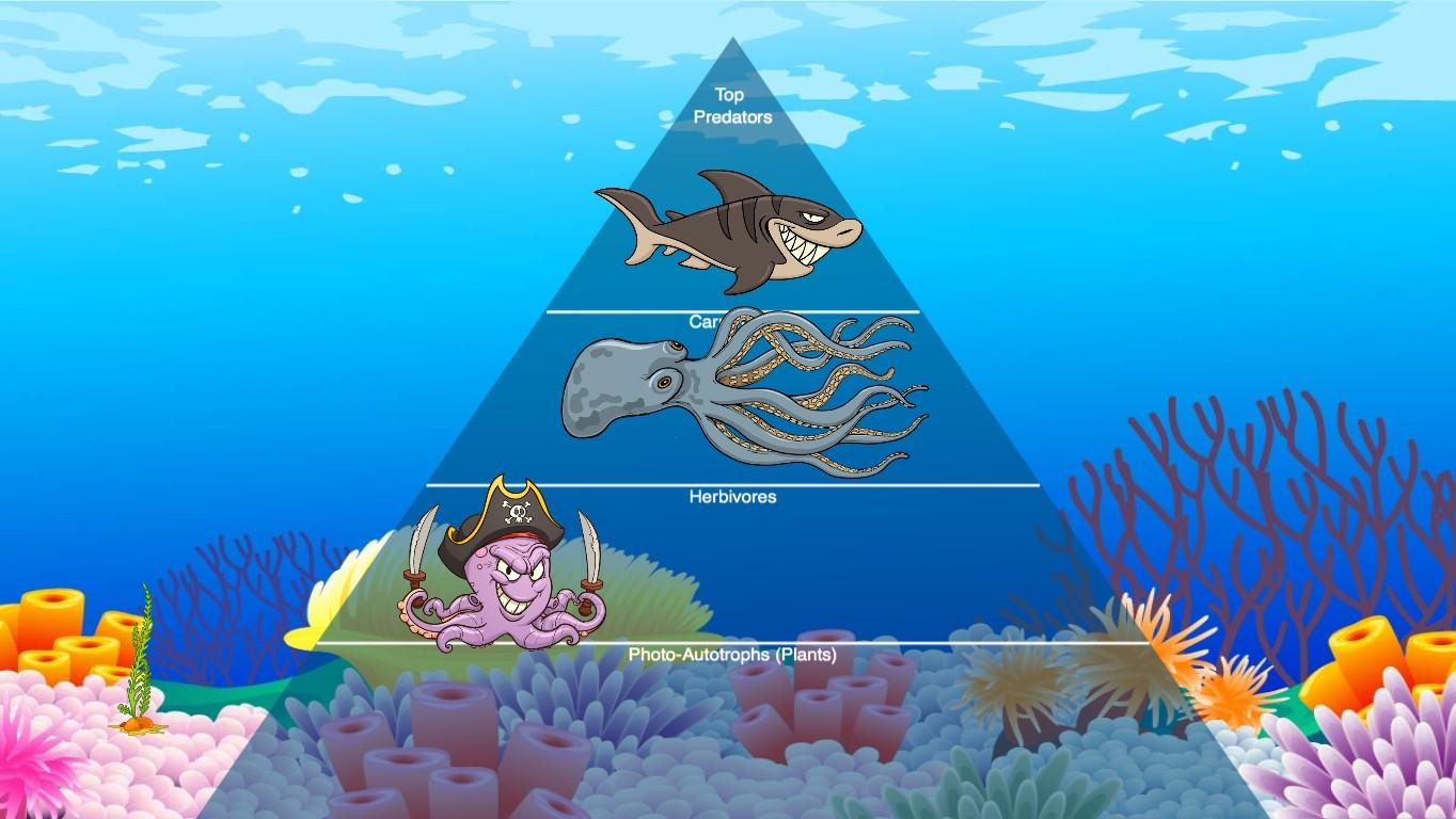 Ocean Ecological Pyramid