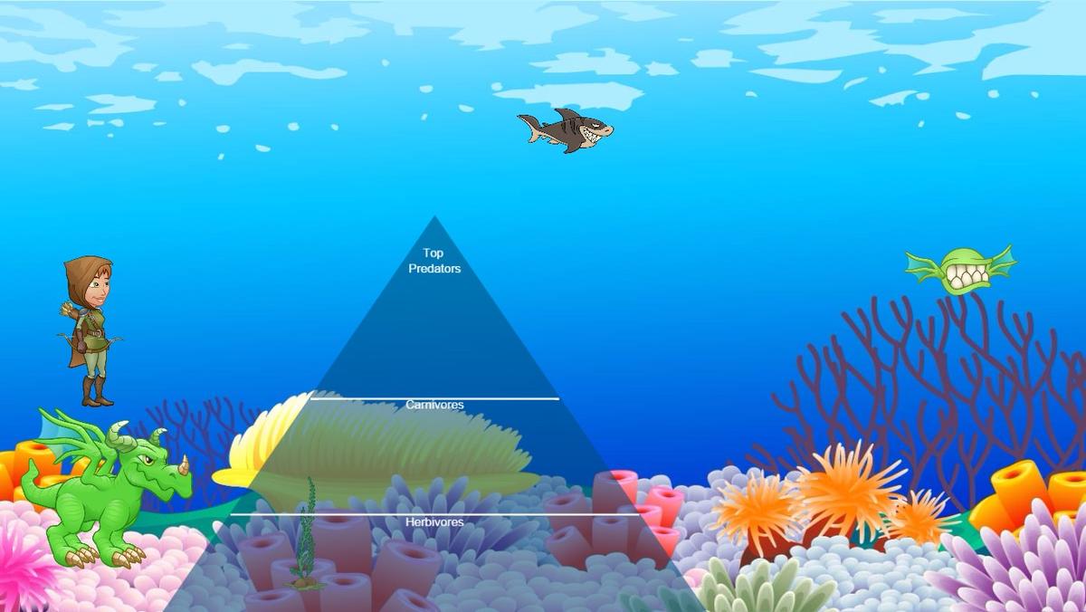 Ocean Ecological Pyramid