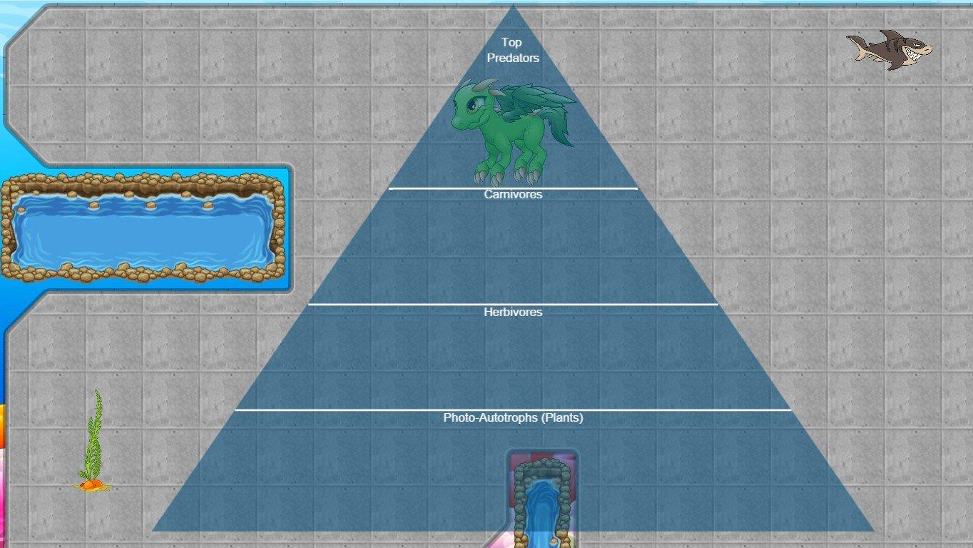 Ocean Ecological Pyramid