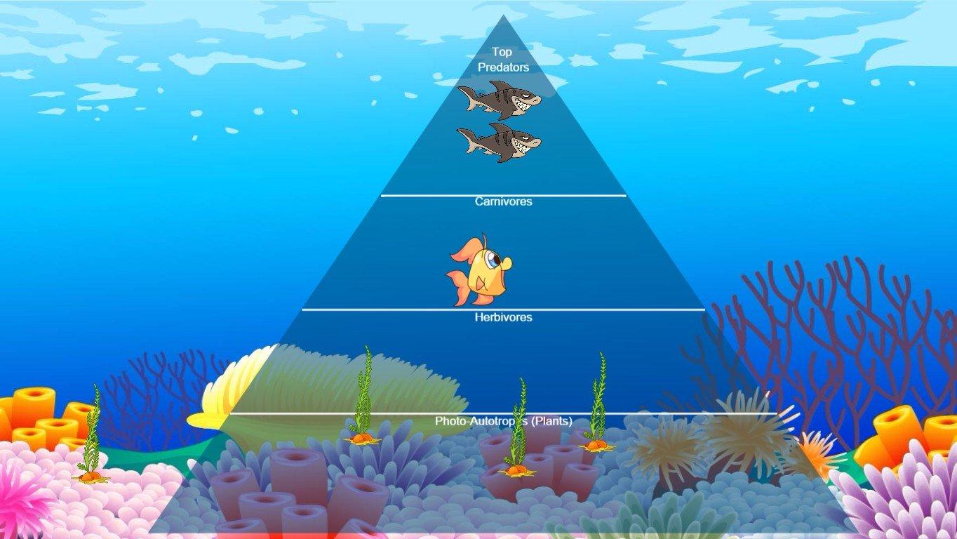 Ocean Ecological Pyramid