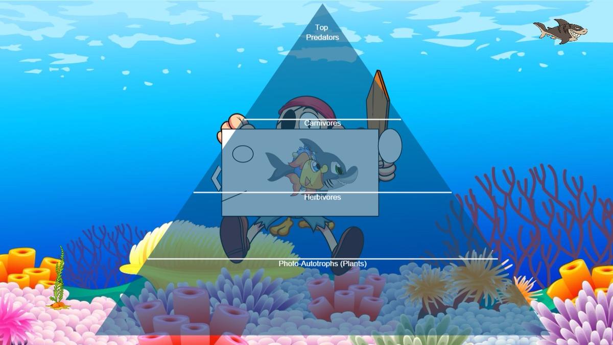 Ocean Ecological Pyramid