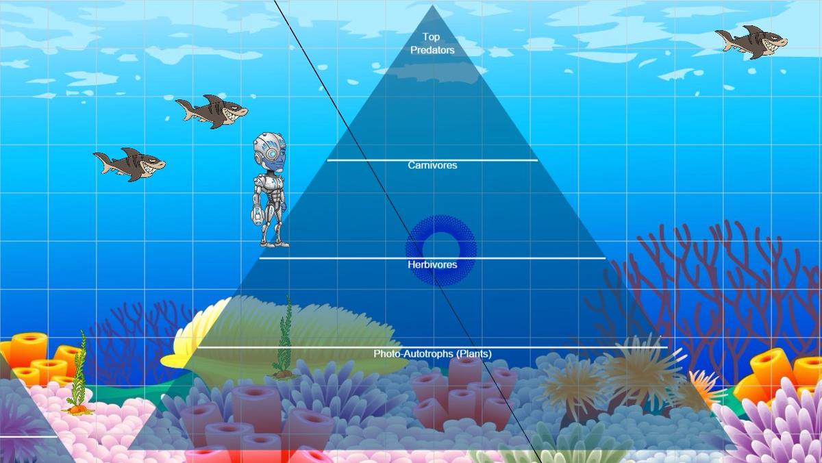 Ocean Ecological Pyramid